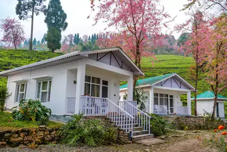 Type of RoomsTemi Tea Cottage