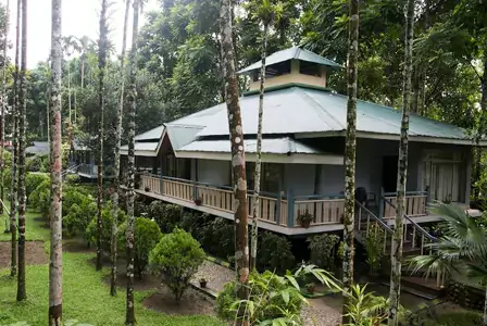 Hotel InformationAnanya Jungle Resort