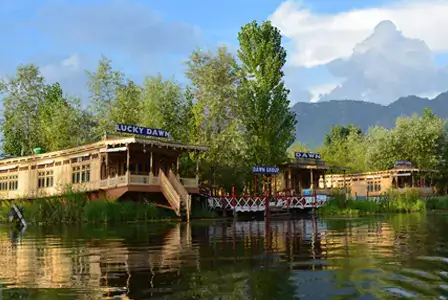 Hotel Info:Dal Lake (Delux) Dawn Group