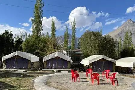 HOTEL IN LEH LADAKH PACKAGESNubra Delight Camp