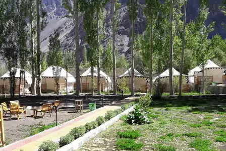 HOTEL/CAMP INFO:( Deluxe )NUBRA CAMP