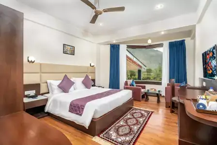 HOTEL INFO :Chinar Resort Spa Room