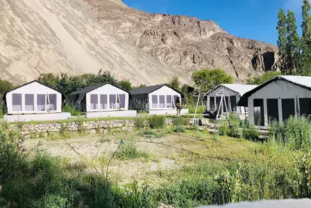 Hotel InformationNubra Summer Camp