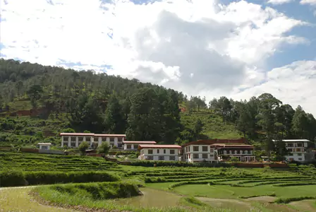 Punakha Hotels InfoDrubchu Resort