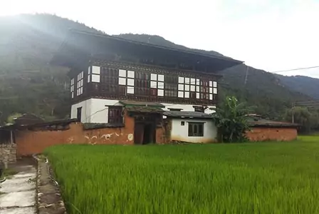 Paro Hotels InfoTshering Resort