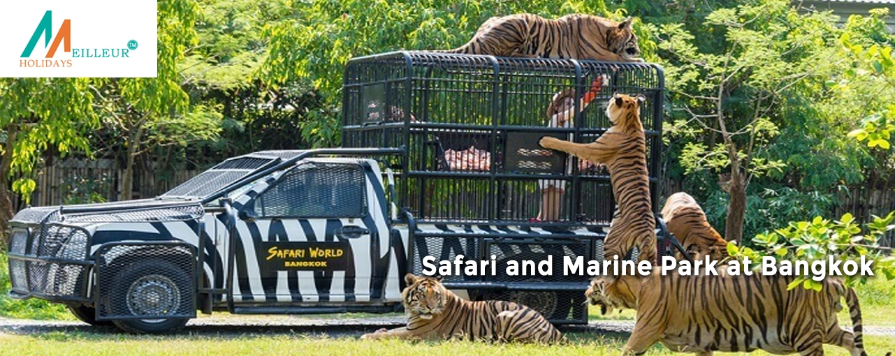 Bangkok pattaya durga puja group departure safari world