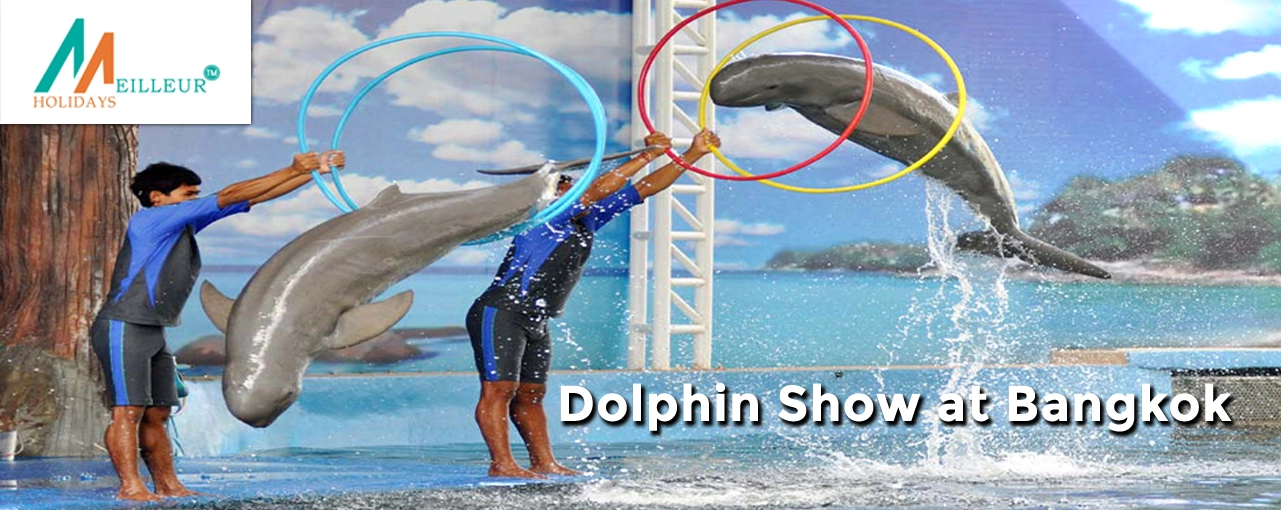 Bangkok pattaya durga puja group departure Dolphin Show
