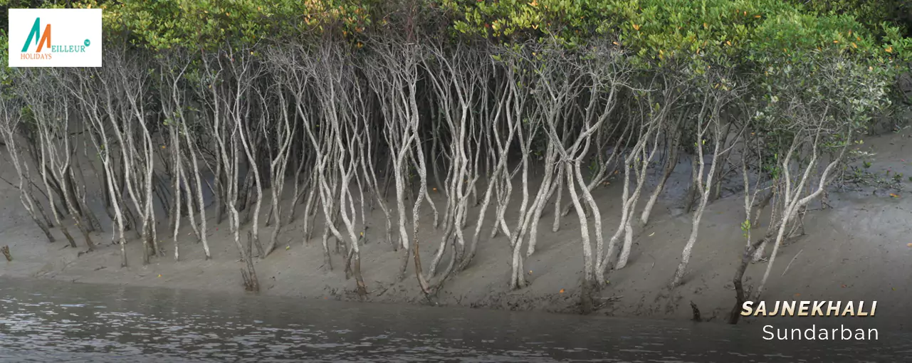 Kolkata Heritage Tour with Sundarban sajnekhali