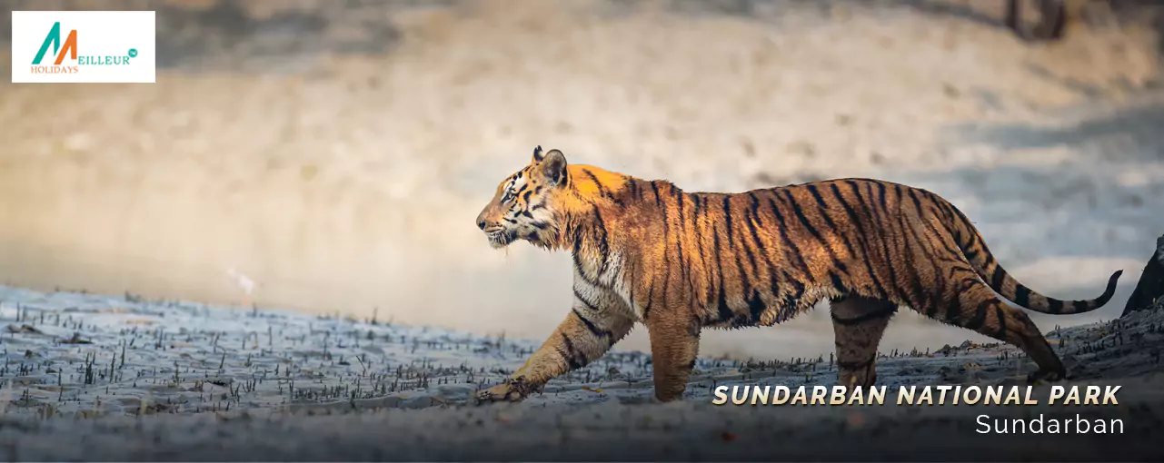 Sundarban National Park
