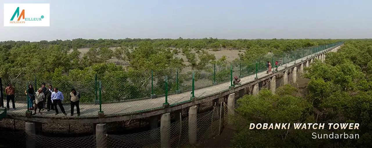 QUICK  SUNDERBAN Watch Tower