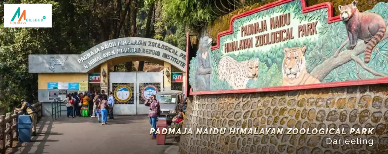 Visitors outside the Padmaja Naidu Himalayan Zoological Park in Darjeeling, a must-see on your Darjeeling tour package from Kolkata.