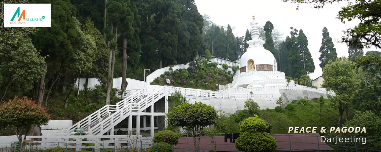 Darjeeling Tour Package Peace Pagoda