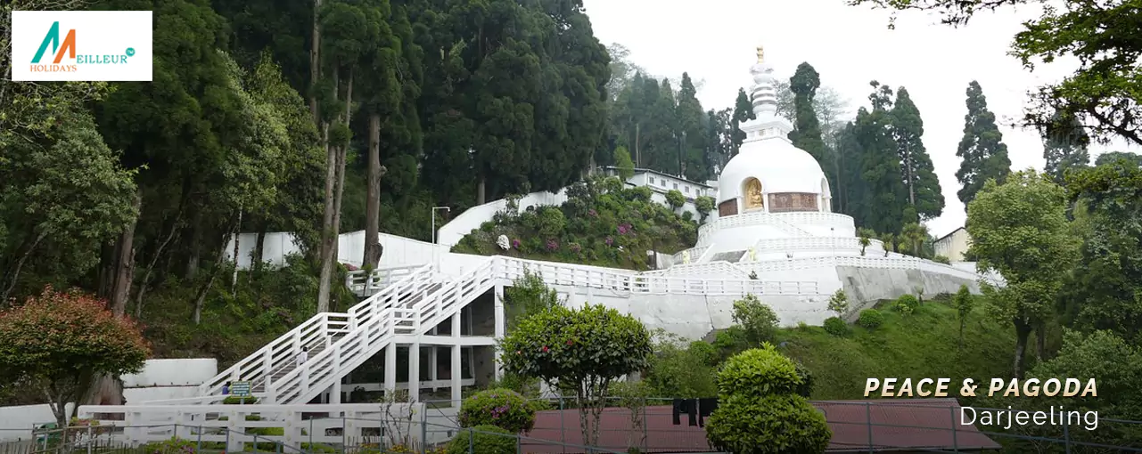 Peace Pagoda in Darjeeling surrounded by lush greenery, a serene spot in your Darjeeling tour package from Kolkata.