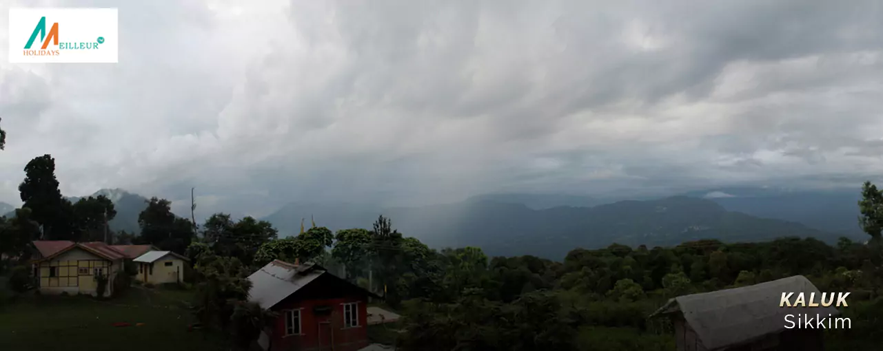 kaluk
