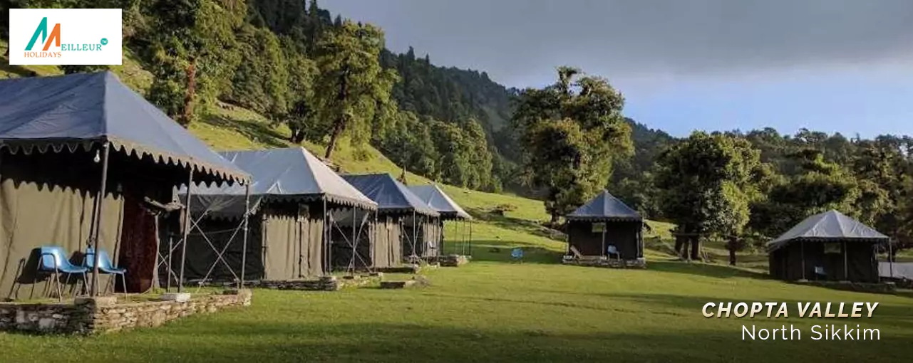 Chopta Valley