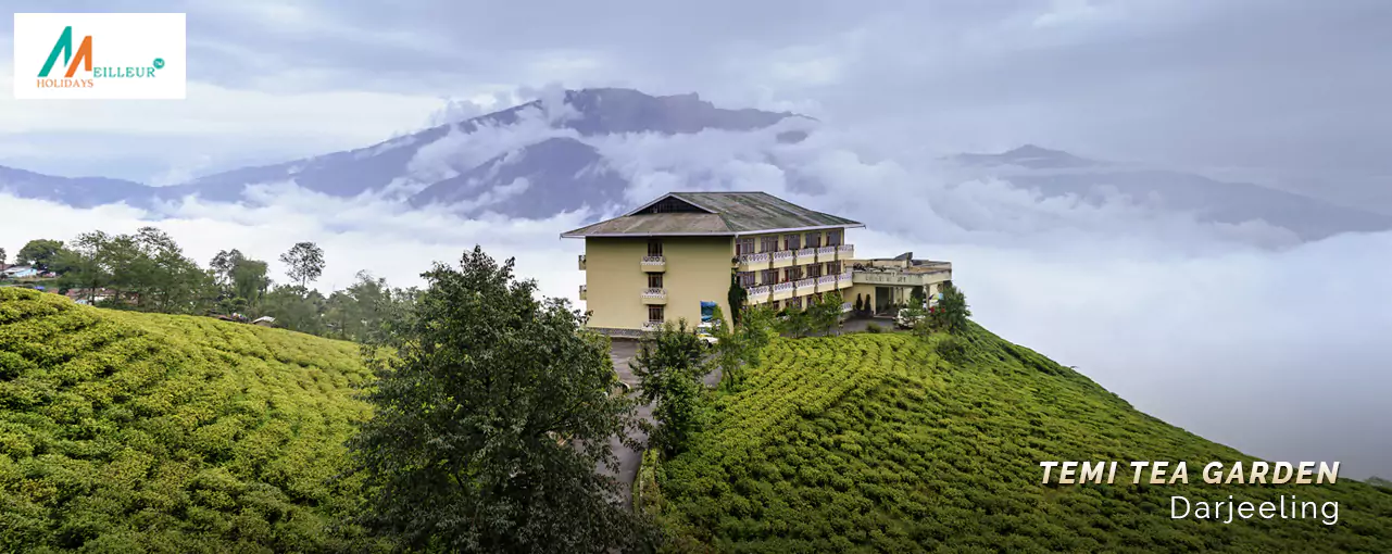 A scenic view of Darjeeling's tea garden bungalows amidst greenery, with misty mountains and cloudy skies.