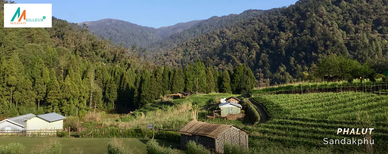 Sandakphu Phalut Phalut