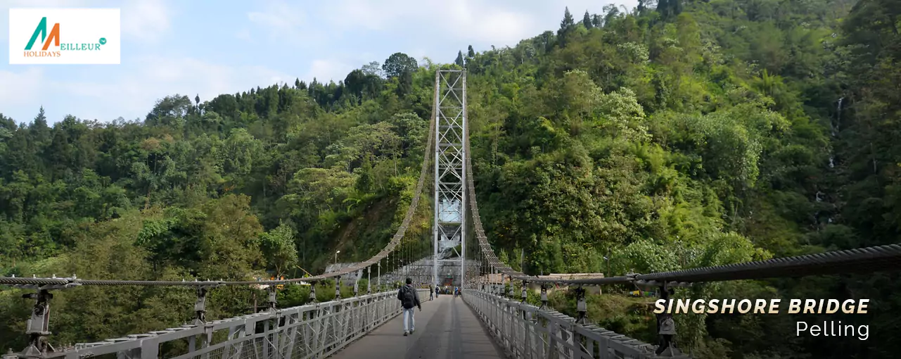 GANGTOK PELLING DARJEELING PACKAGE TOUR Singshore Bridge