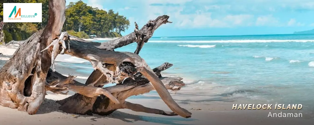 Havelock Island