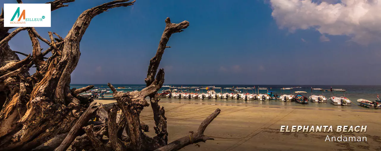 ANDAMAN TOUR PACKAGE Elephanta Beach