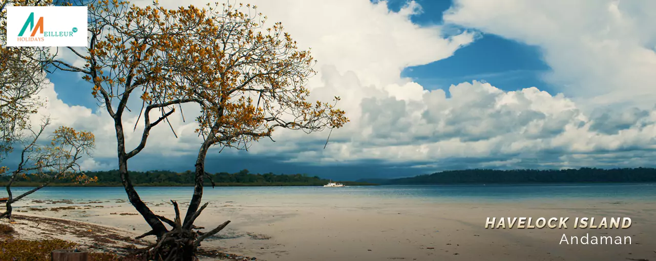 Havelock Island