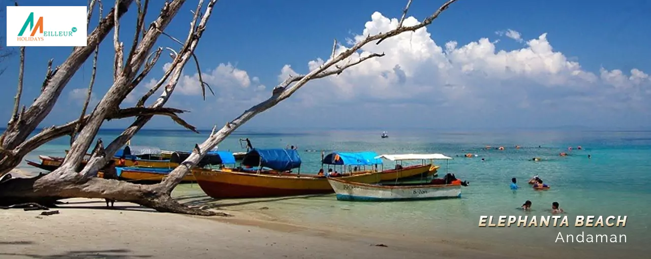 Andaman 5N/6D Tour Elephanta Beach