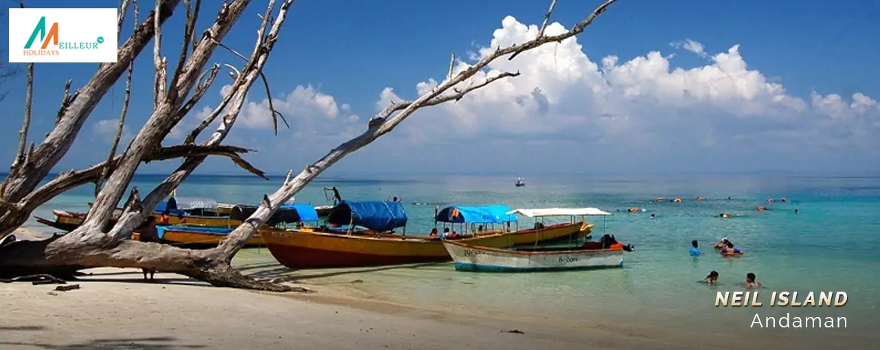 Andaman 5N/6D Tour Neil Island