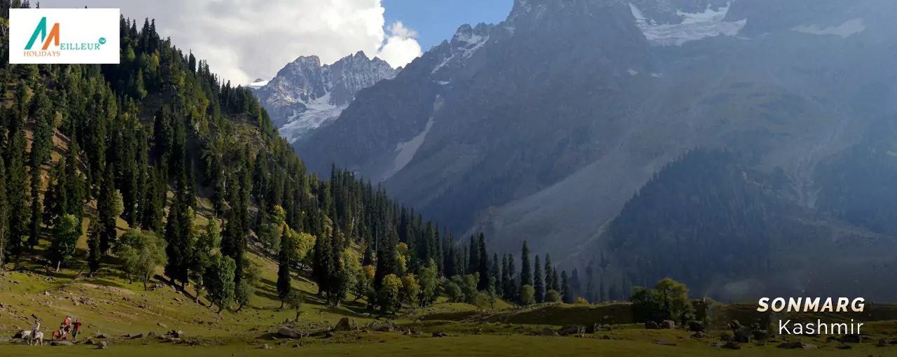 Kashmir Tour Package Sonmarg