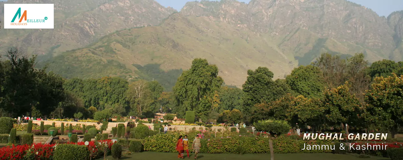 Premium Kashmir Package Mughal Garden