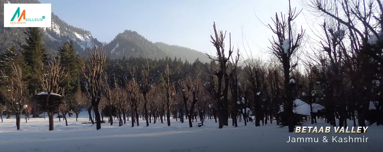 Premium Kashmir Package Betaab Valley