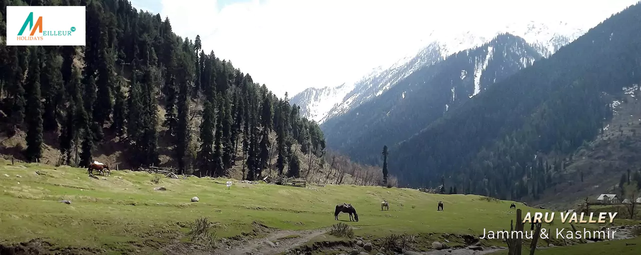 Premium Kashmir Package Aru Valley