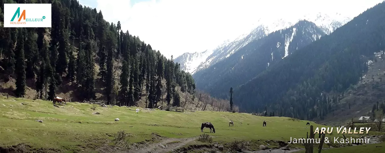 Aru Valley