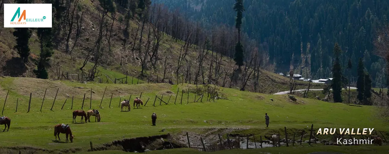 Aru Valley