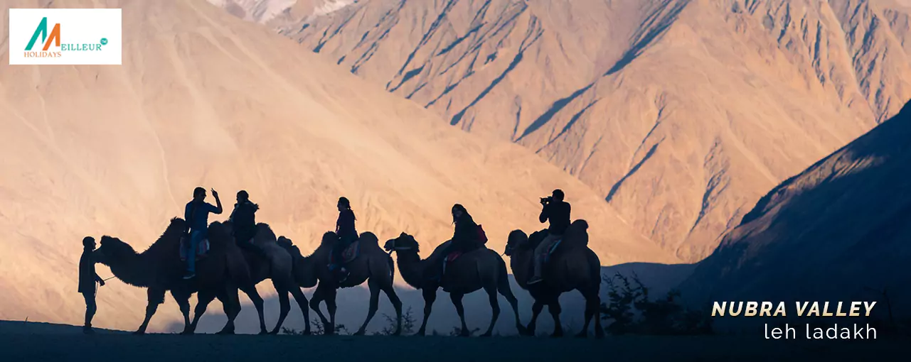 Nubra Valley