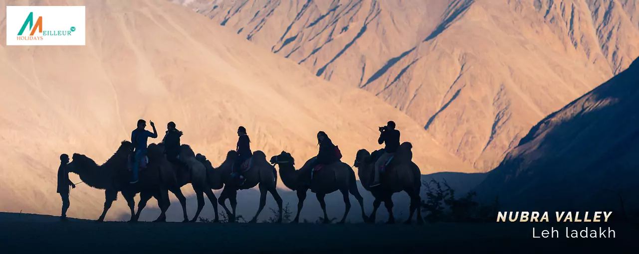Nubra Valley