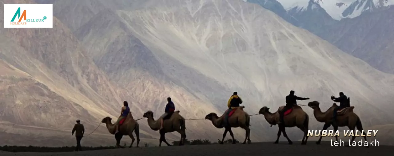 Nubra Valley