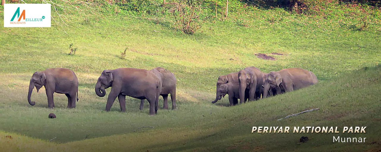 Kerala Tour Package Periyar National park
