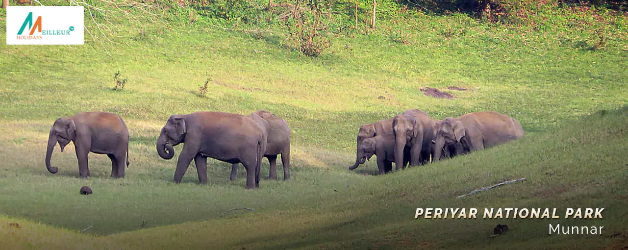 Periyar National park