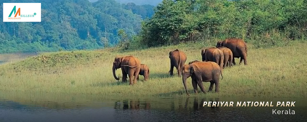 Kerala Premium Package Periyar National park