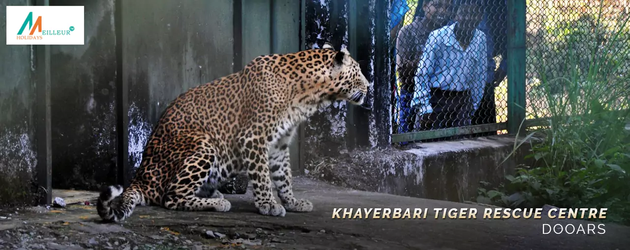 DOOARS TOUR Khayerbari Tiger Rescue Centre