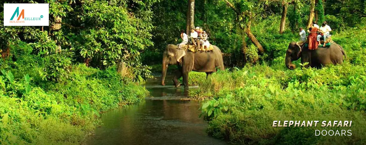 DOOARS TOUR ELEPHANT SAFARI