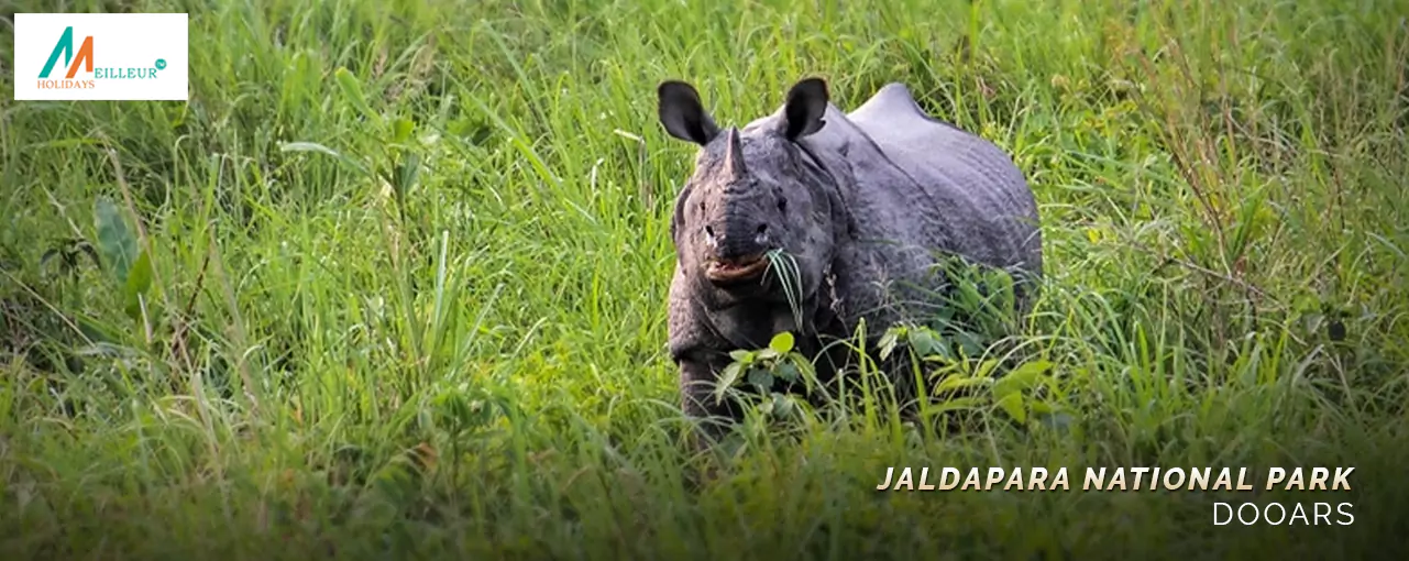 Jaldapara Wildlife