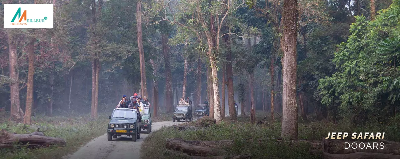 Jeep Safari