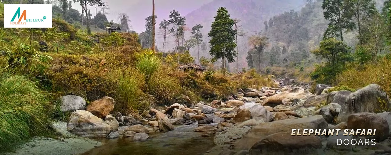 Jhalong