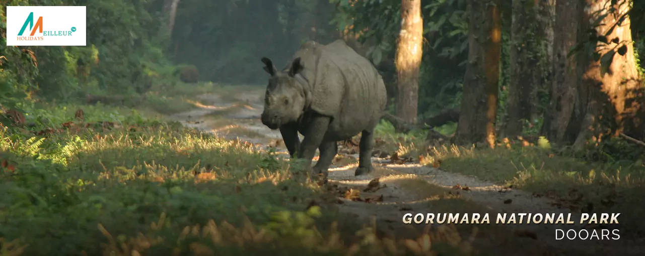 Dooars 4N/5D Tour Package Tour Package gorumara national park