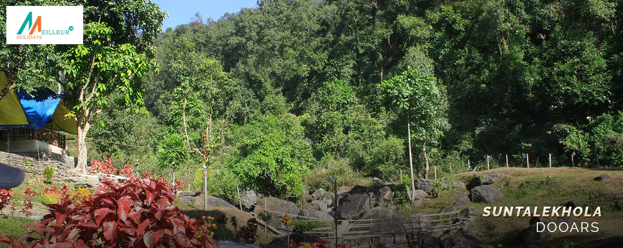 Best Dooars Tour Package Price From Njp