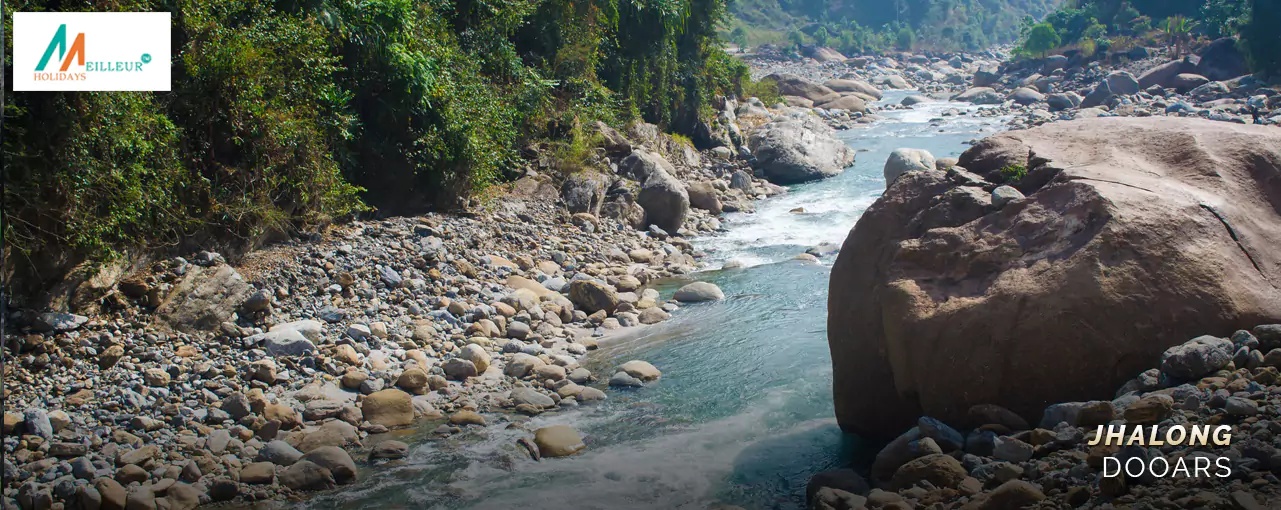 Discover Dooars Tour Package Price From Njp