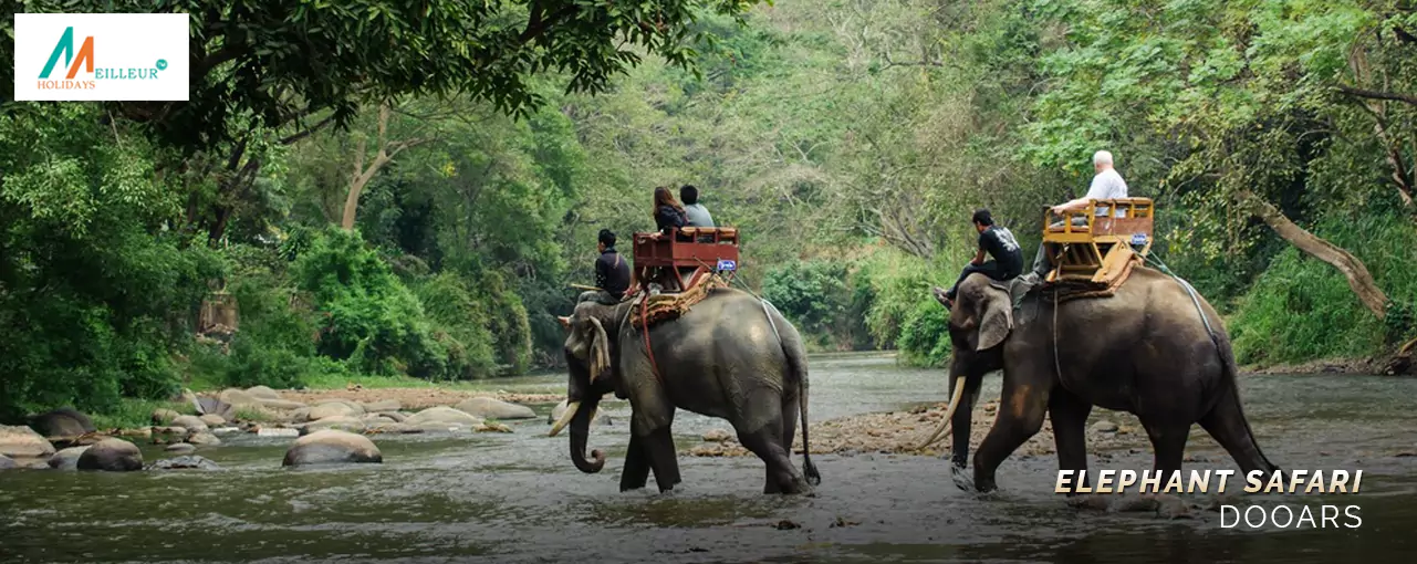 Dooars 4N/5D Tour Package Tour Package Elephant Safari