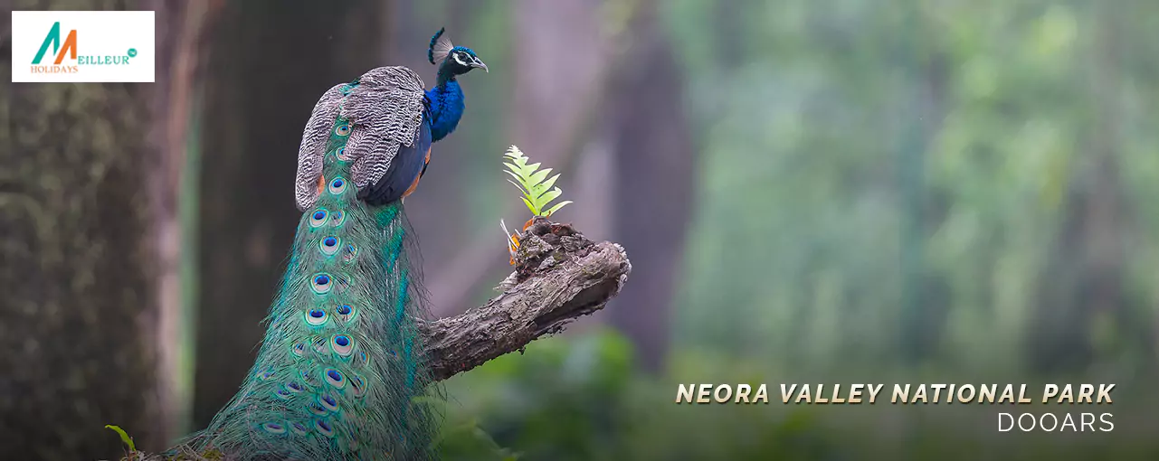 Neora Valley National Park