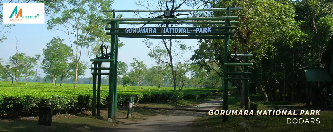 Dooars 5N/6D From NJP Tour Gorumara National Park